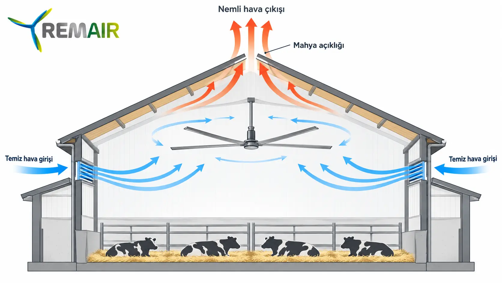 Remair, Remair Fan, helikopter fan, HVLS fan, ahır havalandırma, ahır havalandırma fanları, çiftlik fanı, endüstriyel havalandırma, endüstriyel fan, ahır fanı, tavan tipi fan, hayvancılık havalandırma, ahır serinletme, sanayi fanı, büyük çaplı fan