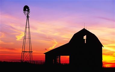 أهمية أنظمة تهوية الحظيرة