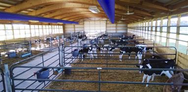 Vorteile und Einsatzmöglichkeiten von Stallventilatoren