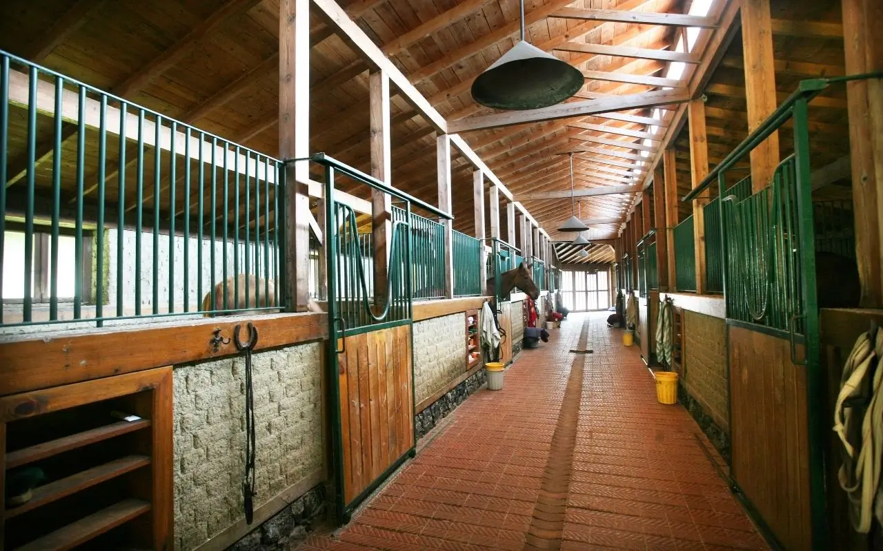أين يتم إيواء الخيول؟