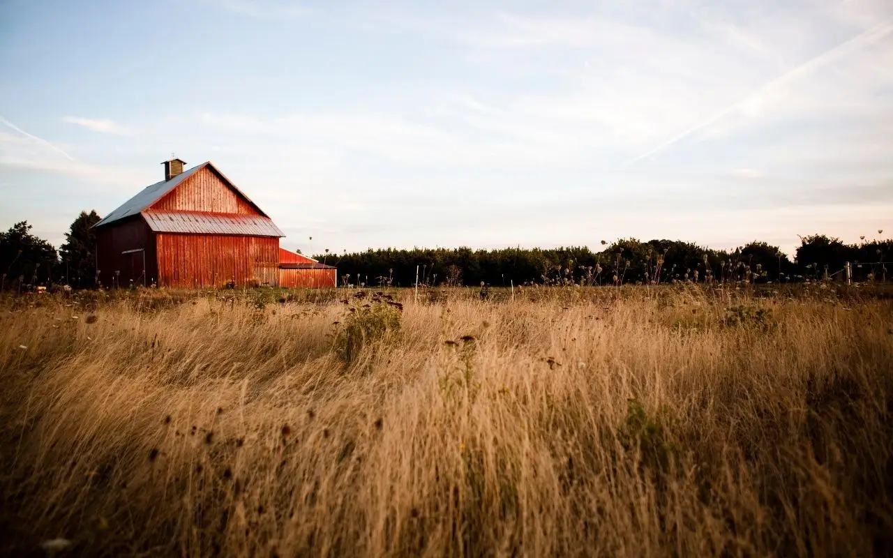 تهوية الحظيرة للأعمال الزراعية المستدامة