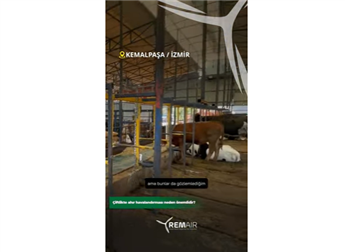 Remair Hubschrauberventilatoren und Stallbelüftung