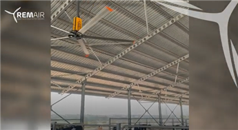 Glückliche Kühe mit RemAir-Hubschraubern!