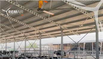 Temperaturstress ist jetzt ein Traum mit Remair Helikopten Fan!