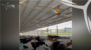 Effizienz und Komfort auf dem Bauernhof: Remair Hubschrauber-Ventilatoren