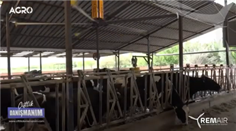 Remair Fan Difference in Aydin Farm: Adresse des Tierschutzes und des Komforts
