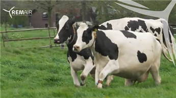 Das ist kein Traum, das ist möglich mit REMAir Helicopter Fans!