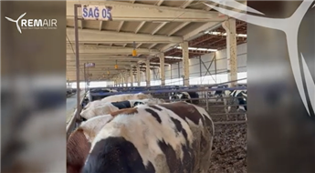 Le nouveau nom de l'air frais et du confort dans votre ferme : les ventilateurs Remair